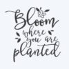 bloom where you are planted