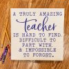 a truly amaing teacher...