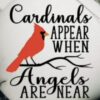 cardinals appear