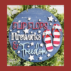 flipflops-fireworks-freedom
